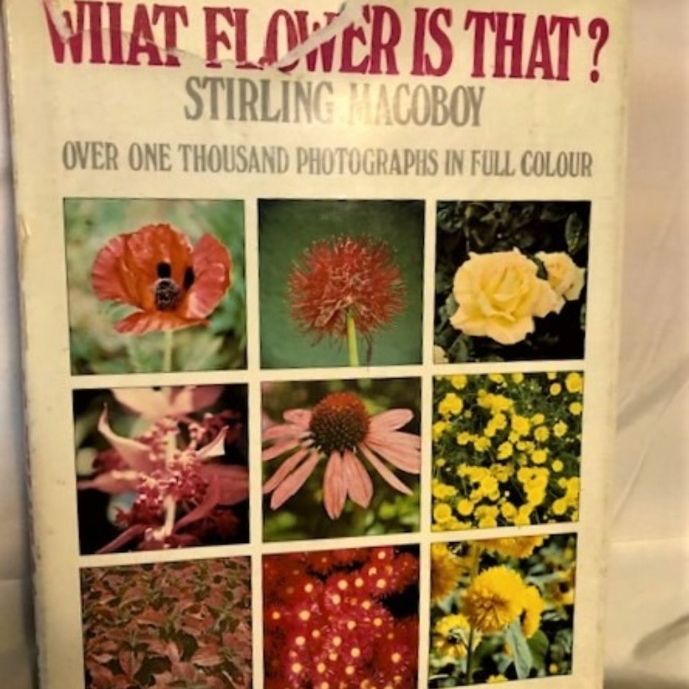 1971 What Flower is That? by Stirling Macoboy